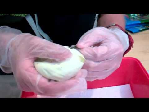 Burmese python egg cutting 2012 clutch 1 part 1