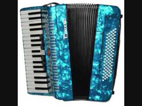 Ionut de la Balcescu HORA DE MASA SI DE JOC LIVE ACORDEON