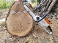 STIHL MSA 140 C-BQ Battery Chainsaw Cutting Logs | REVIEW | TEST