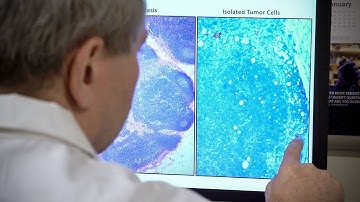 Deep Learning Algorithms for Detection of Lymph Node Metastases From Breast Cancer