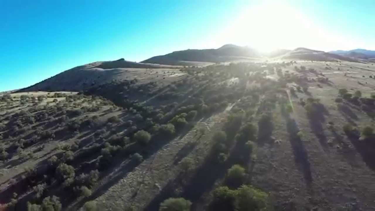 wildlife videographer jobs Texas Wild: Wildlife Montage