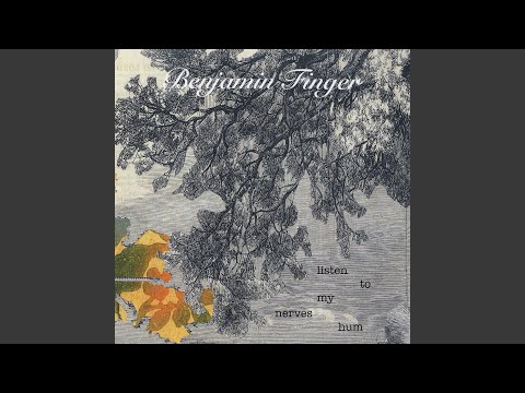 Benjamin Finger — Das Paris Des Second Empire Benjamin