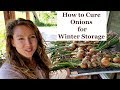 How to Cure Onions [for WINTER Storage on the Shelf]