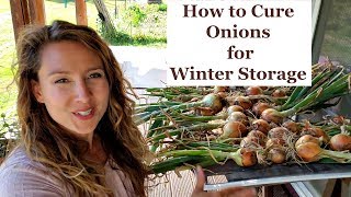 How to Cure Onions [for WINTER Storage on the Shelf]