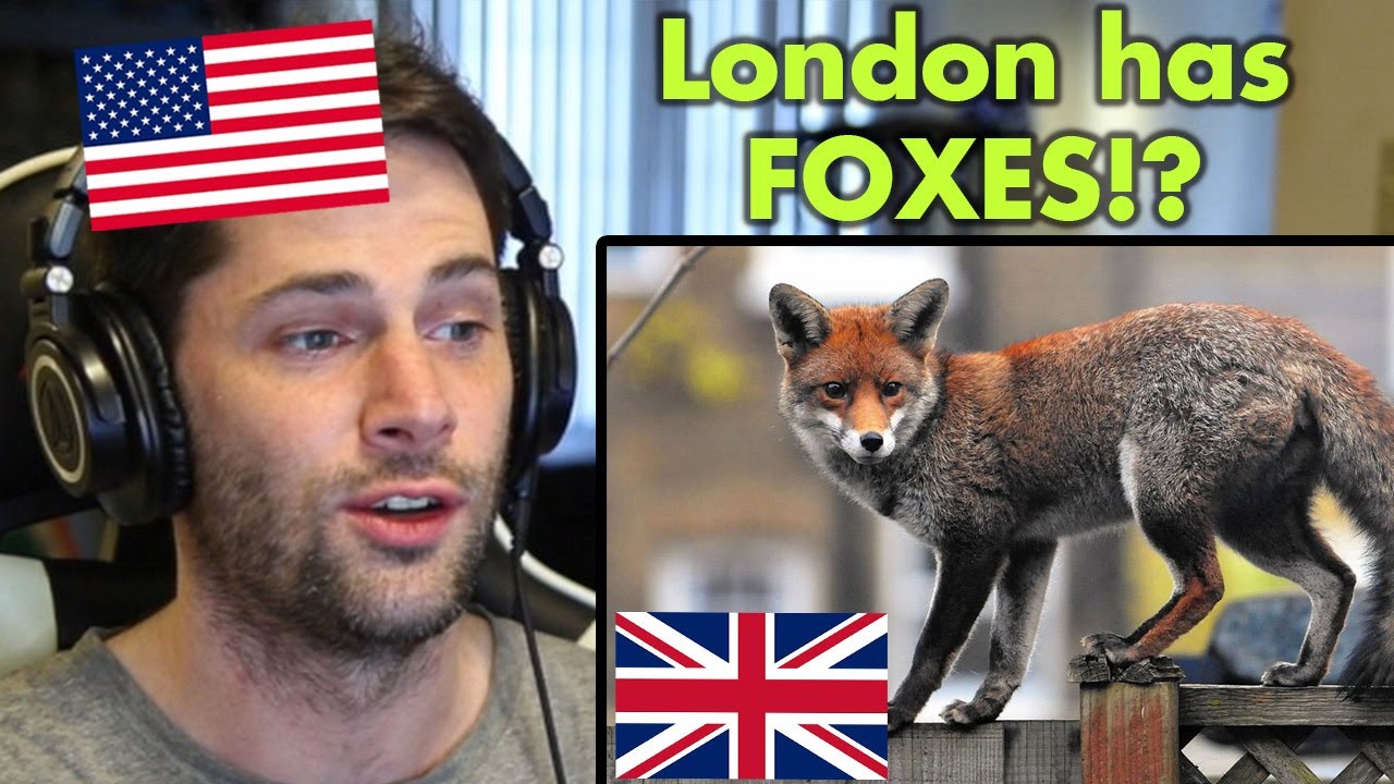 American Reacts to UNBELIEVABLE Facts About the UK - YouTube