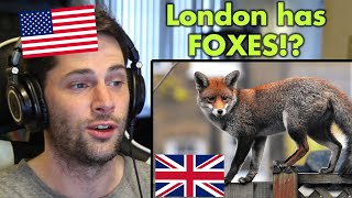 American Reacts to UNBELIEVABLE Facts About the UK