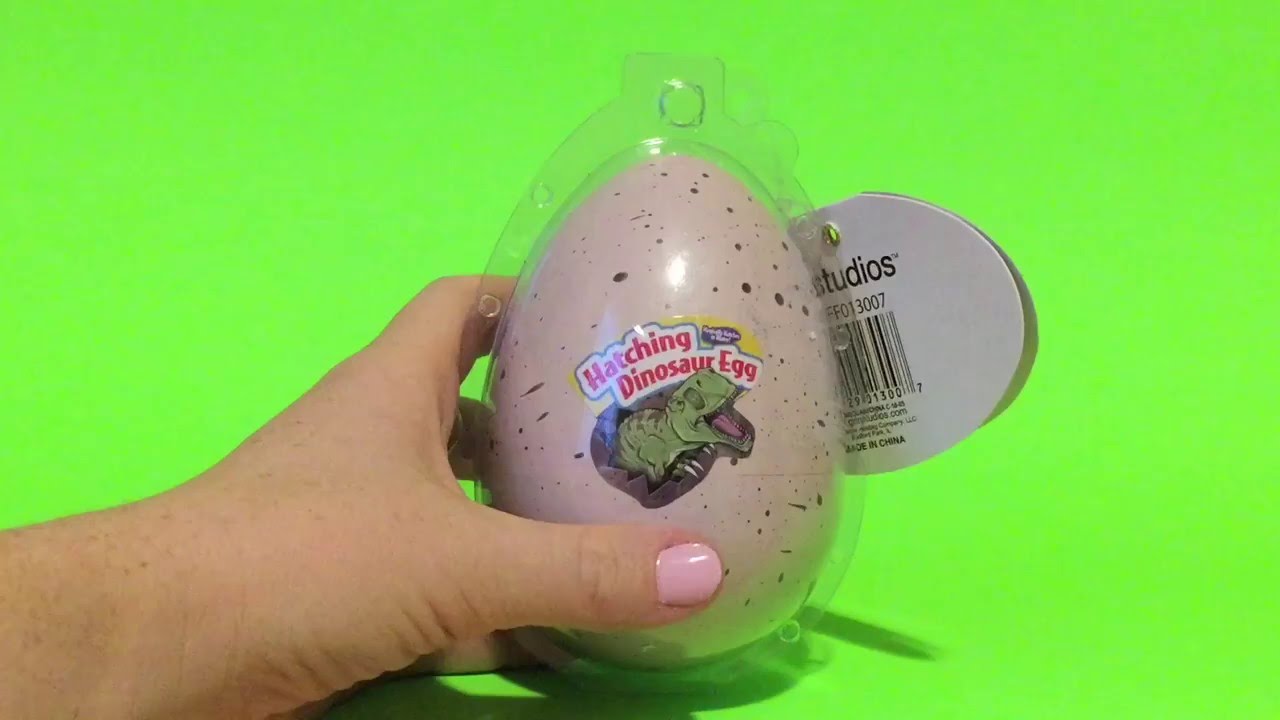 Jumbo Dinosaur Egg Hatch Hatching Grow in Water Kids Toy Fun 