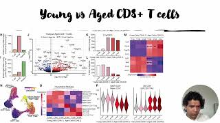 Young and Aged CD8+ T cells in different parabiosis condition #Code: 1168