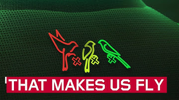 A story about Ajax and the Three Little Birds  🦜 🦜 🦜