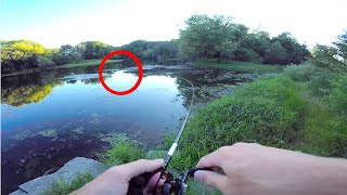 My Biggest Fishing Fail of 2016...