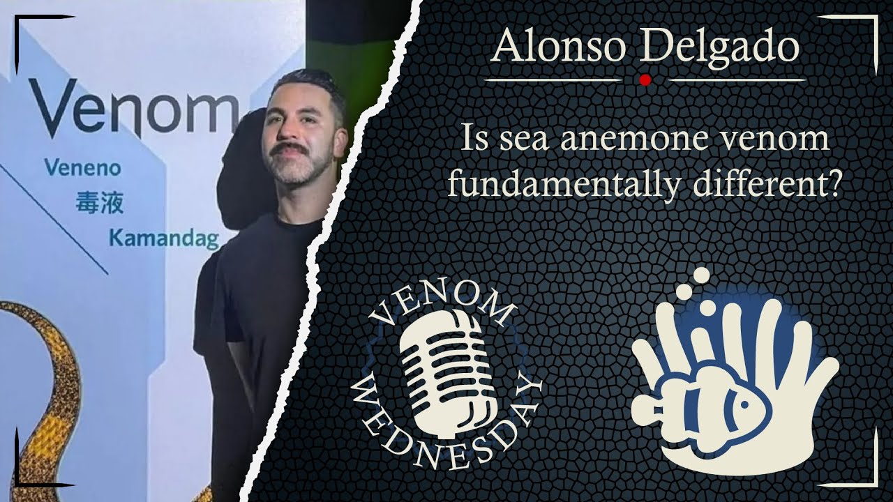 Alonso Delgado • Is sea anemone venom fundamentally different? #VenomWednesday 29
