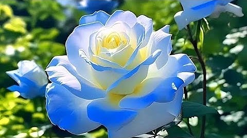سورة الأعراف (ص - ١٦٠) الشيخ محمود علي البنا رحمه الله تعالى ...