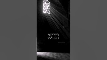 الخبيثات للخبيثين والخبيثون للخبيثات والطيبات للطيبين والطيبون للطيبات | سورة النور أحمد خضر
