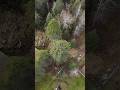 Now that’s high!! #drone