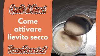 Come attivare il lievito secco o disidratato per la pizza bonci - Quelli di Bonci