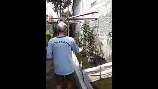 viral ex KOPASKA Frogman "PAUS 3" #shorts #viral #kopaska #indonesia #hero #pejuang #tni #navyseal