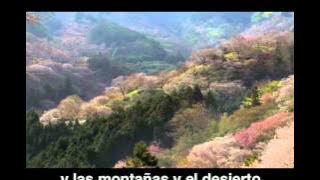 CARLOS SANTANA - Primavera (lyric - K. C. Porter) Blog ☞ : 