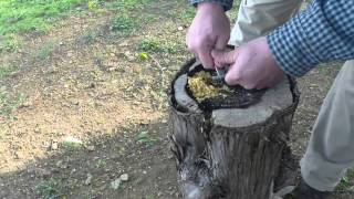 Frito lay ferro rod fire