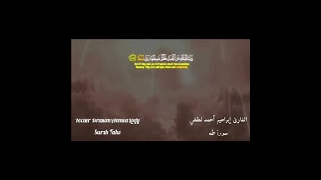 تلاوة خاشعة😴