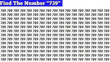 "Find the Hidden 739 Before Time Runs Out!"