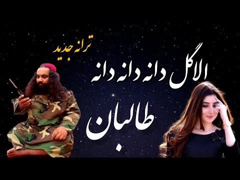 اله گل دانه دانه دانه طالب جان قار کده نمیایه خانه ترانه جدید طالبان