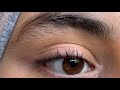 My Halal eyebrow Routine ☁️