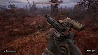 Stalker 2 Episode 45:Looting the Red Forest & A Mysterious Forcefield