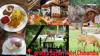Vlog:Day trip to Protea Safari Lodge for lunch. Zambia's hidden Gem 4k #CHISAMBA