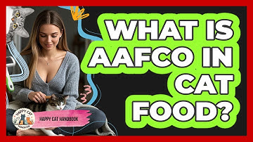 What Is AAFCO In Cat Food? - Happy Cat Handbook