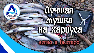 Мушка - 