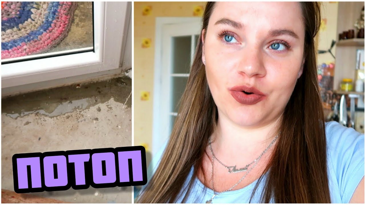 Лила малила из белоруссии последнее видео. Lila Molila дзен. Лила молила дзен канал. Лила молила из Беларуси