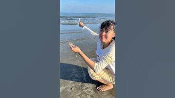 Chiuc Giải Cứu Sinh Vật Biển Mắc Cạn #shorts #chiuctoy #review