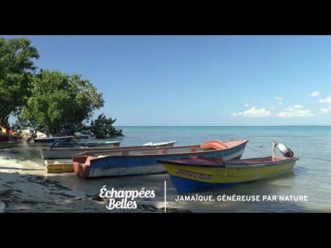 Vidéo: Meilleures choses à faire en Jamaïque lors de voyages en famille