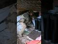 «Чим глибше зарився – тим довше живеш». Воїни 152-ї єгерської бригади на Покровському напрямку