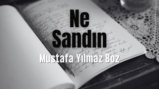 Ne Sandın Yaralı Bir Gönlün Sessiz Feryadı - Mustafa Yılmaz Boz Şiiri
