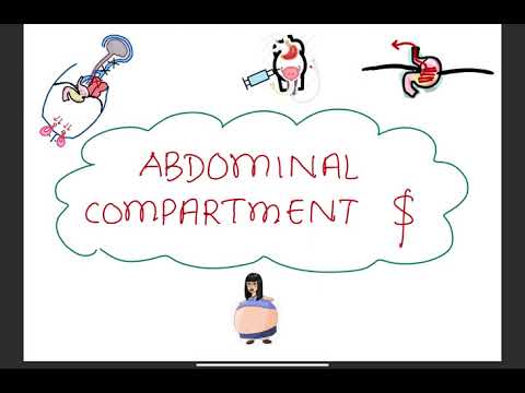 ABDOMINAL COMPARTMENT SYNDROME // Causes, Types, Clinical Features, Management