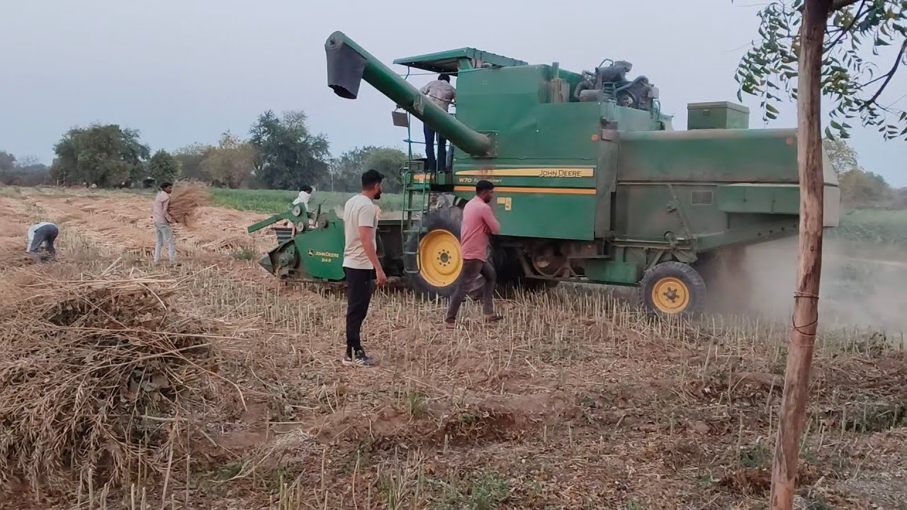 રાયડો નીકળી ગયો👨‍🌾  #rashilaahir #villagelife 