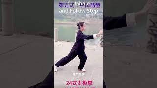 Step 5 of 24 Yang style Tai Chi detailed tutorial