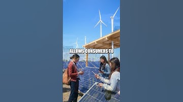 The Rise of Crypto in Renewable Energy