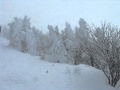 横手山スキー場の第3スカイリフトから撮影したものです