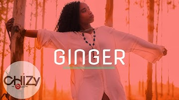 Zouk Instrumental Beat 2024 x Kizomba Type Beat (GINGER) zouk x kizomba instrumental 2024.