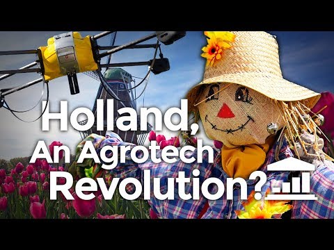 Why The NETHERLANDS is the World's AGRICULTURE leader? - VisualPolitik EN