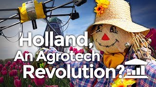 Why The NETHERLANDS is the World's AGRICULTURE leader? - VisualPolitik EN