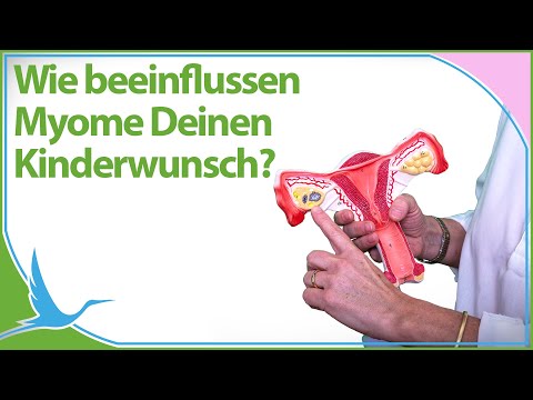 Video: Woher kommt das Wort intramural?