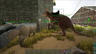 ARK: Survival Evolved - Уроки выживания. Урок 65. Домашние хлопоты. ARK: Survival Evolved - Уроки выживания. Урок 65. Домашние хлопоты.