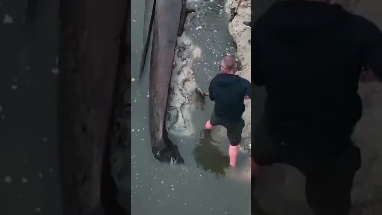 An Ancient Boat Has Been Discovered In The Dnipro River Ukraine