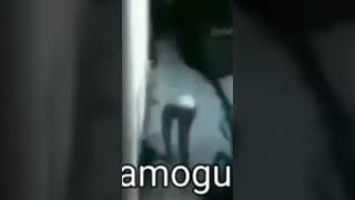 Amoguns