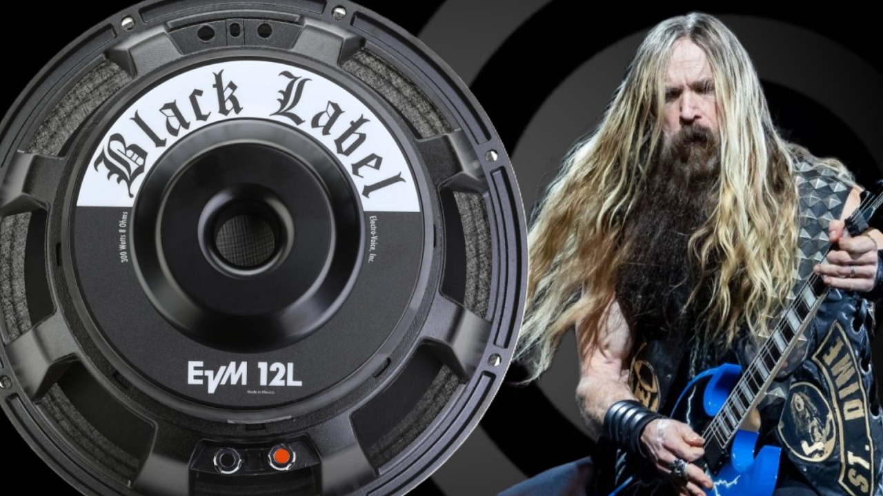 Акустическая система Zakk Wylde Signature Speaker | EVM12L Black Label