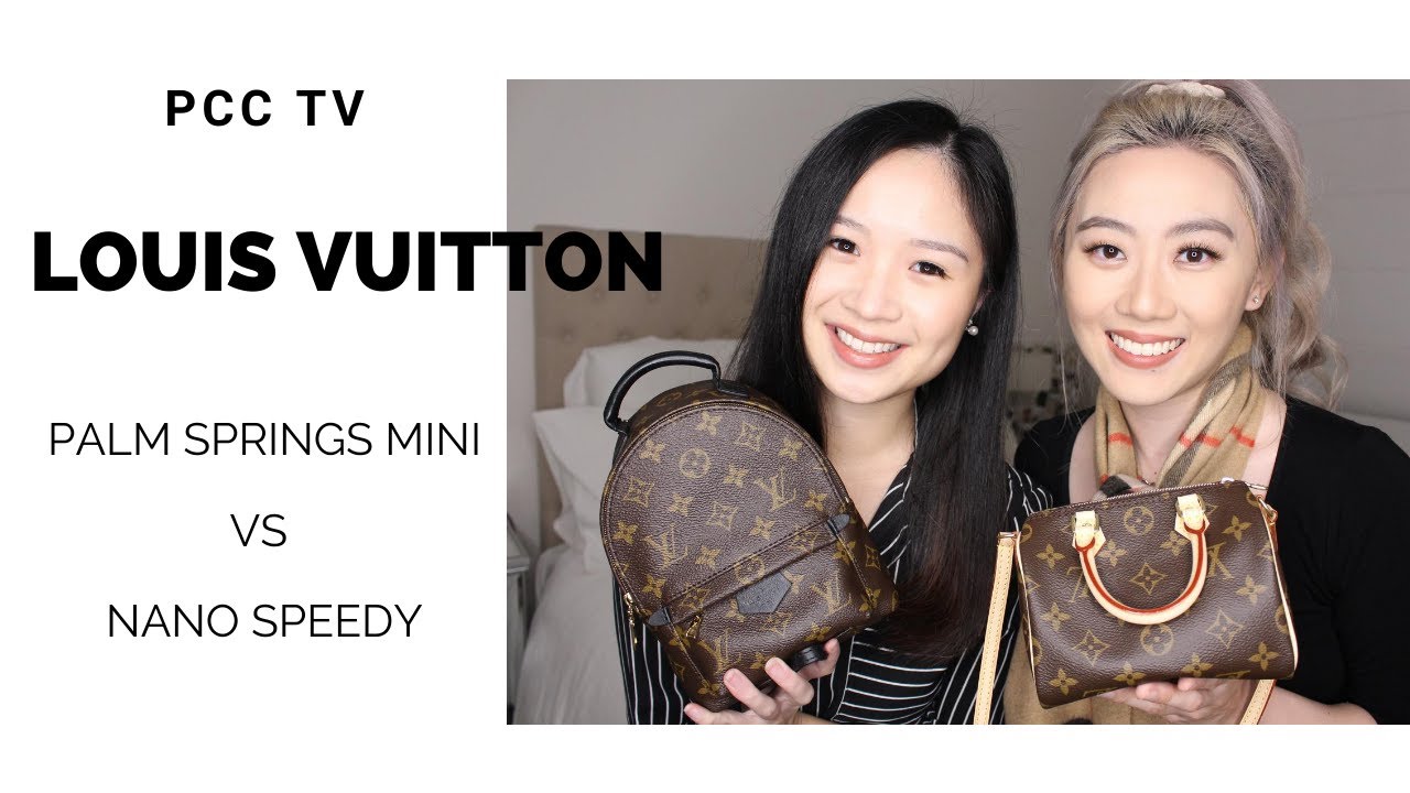 Louis Vuitton Palm Spring Mini : r/Louisvuitton