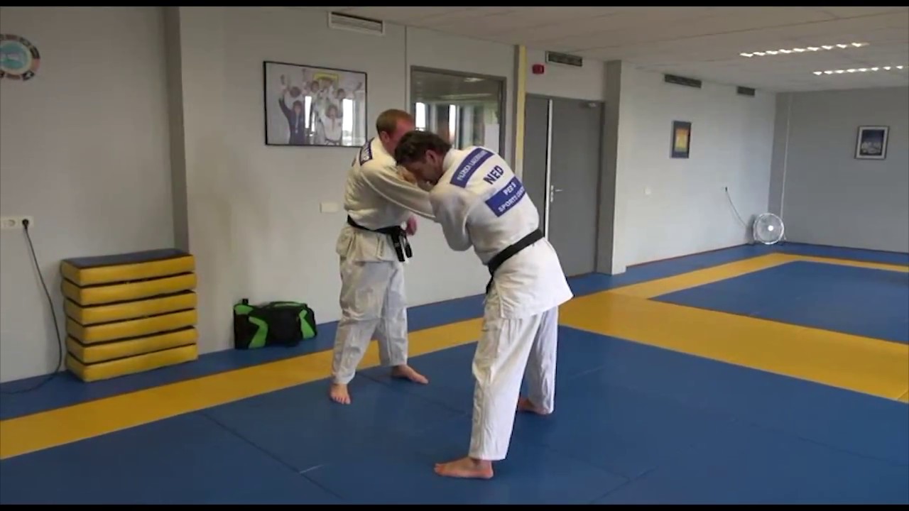 Judo Patrick Lagerwaard Sode Ippon Seoi nage & Rousey's Hip Throw YouTube
